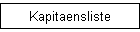 Kapitaensliste